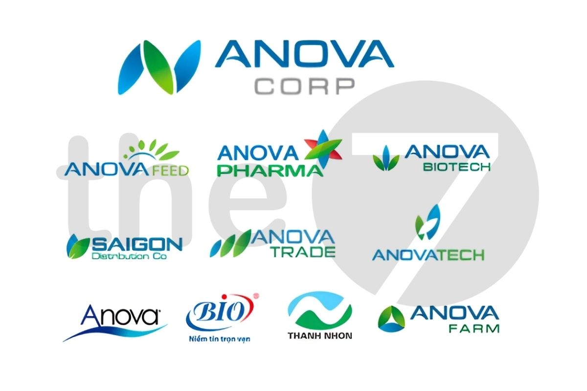 Mô hình kiến trúc thương hiệu Branded House của Anova Corp