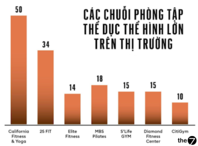 Các chuỗi phòng tập thể dục thể hình lớn trên thị trường