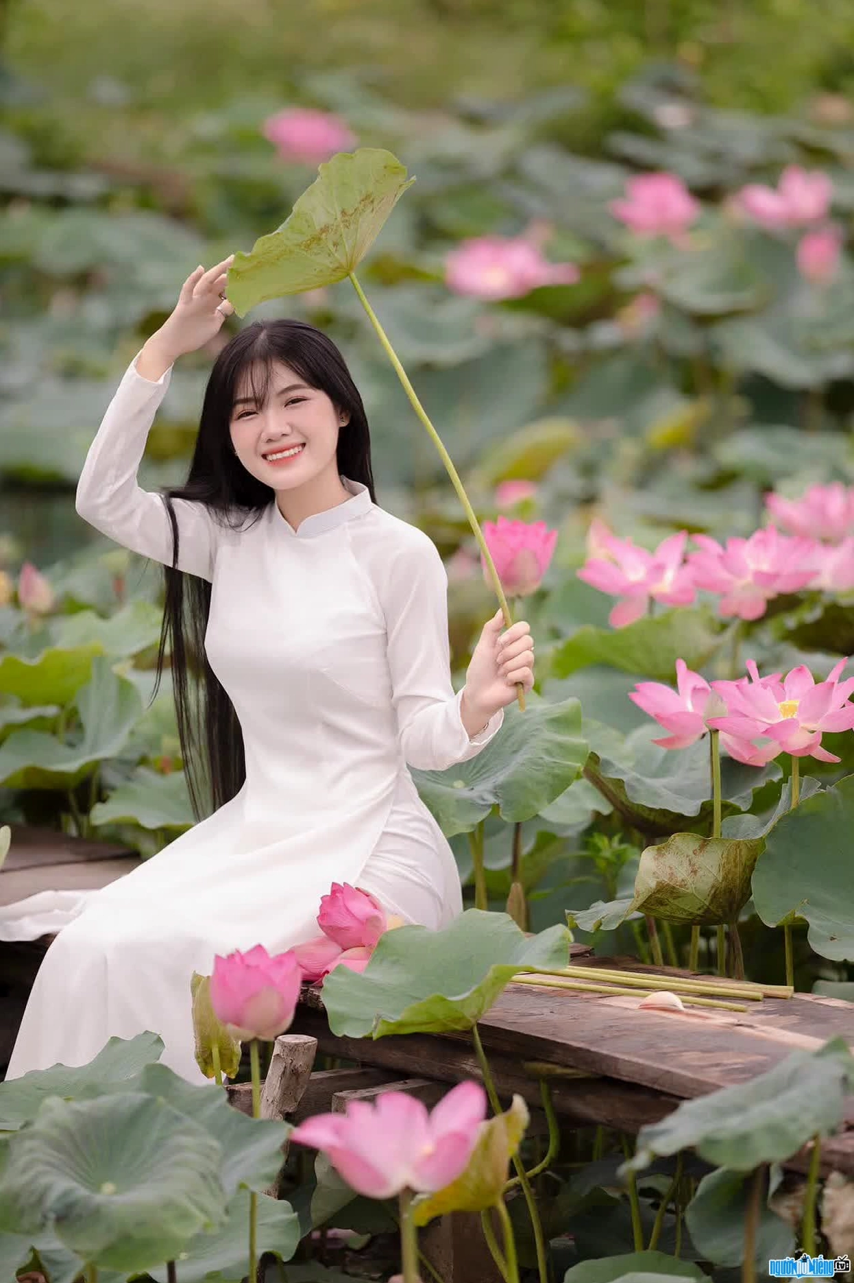 Ảnh của Dương Ái Vy