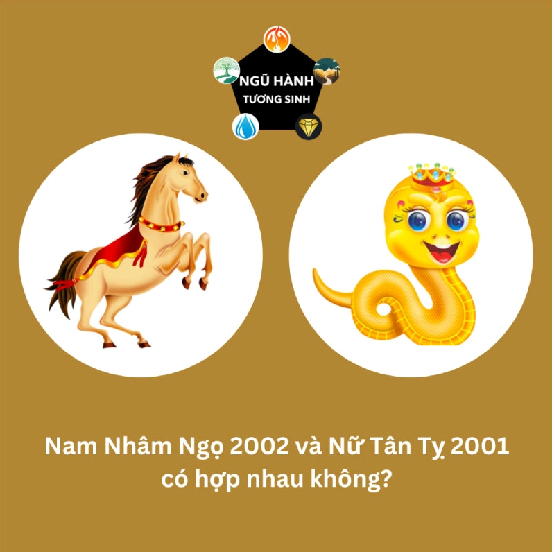 Ảnh minh họa về tuổi hợp và xung khắc
