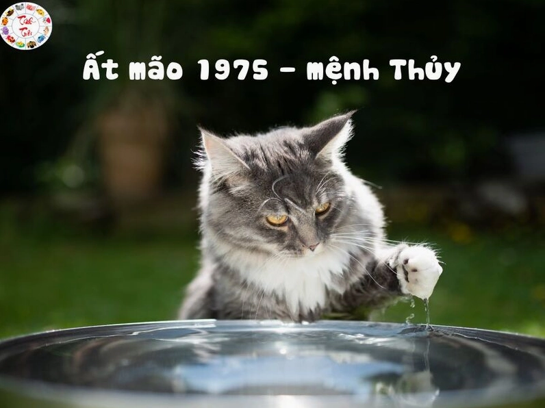 Ất Mão 1975 - mệnh Thủy