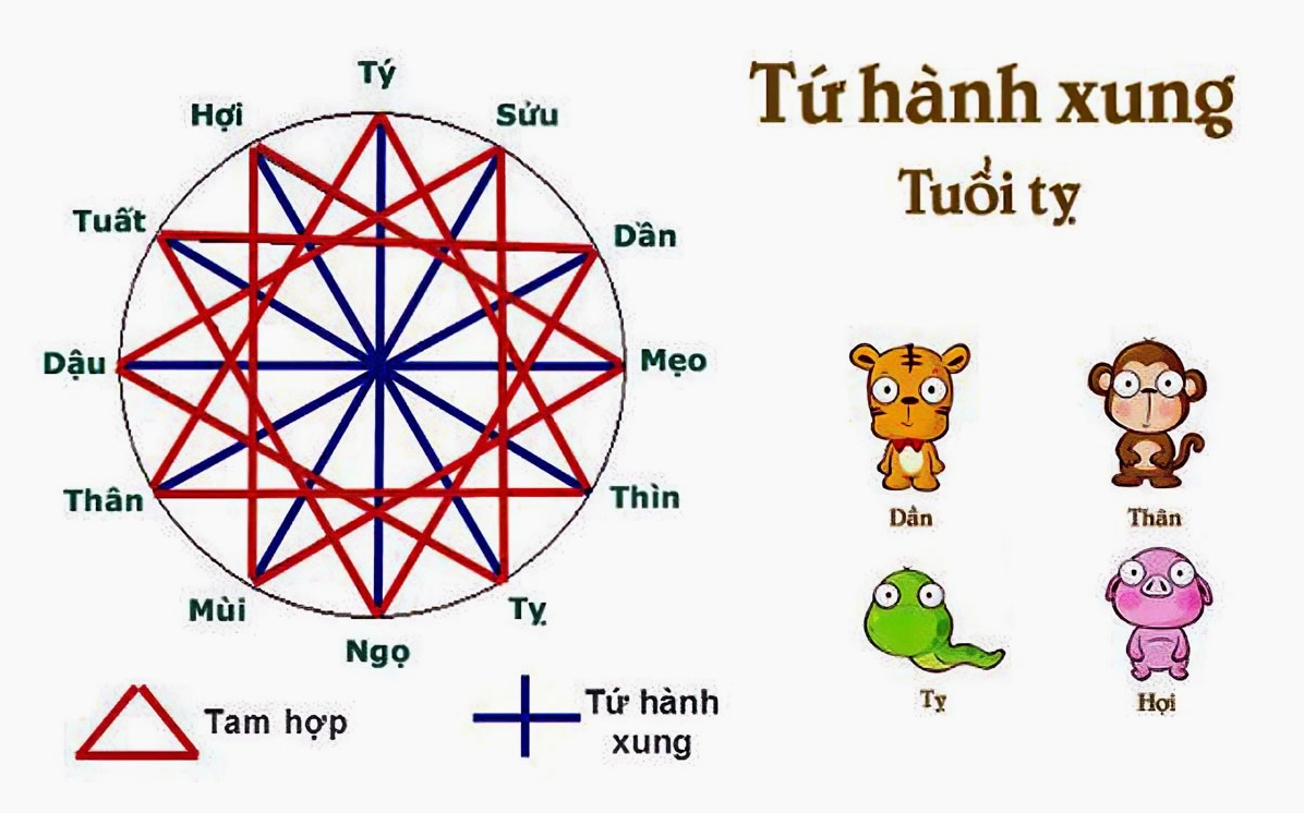 Biểu đồ các con giáp hợp nhau, gợi ý về các mối quan hệ trong lịch sử, bao gồm cả mối quan hệ của Hậu Hoàng.