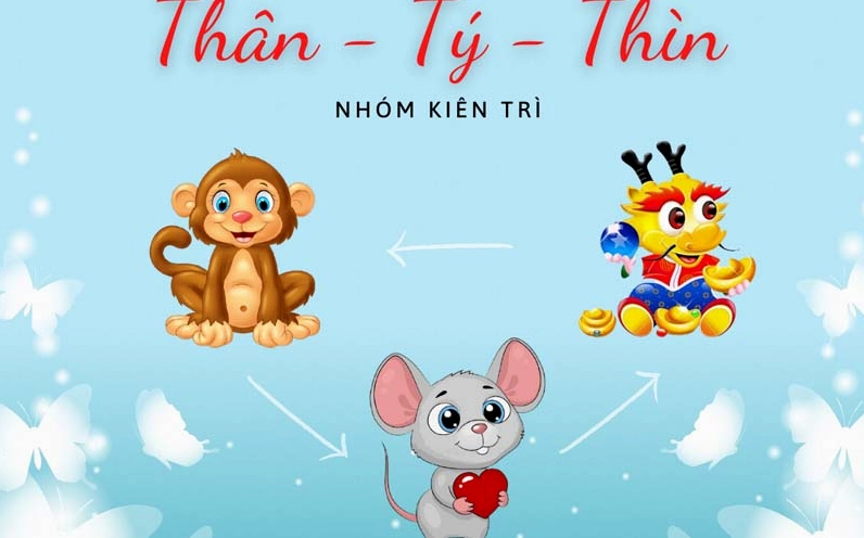 Biểu đồ Tam hợp Tứ hành xung tuổi Tý