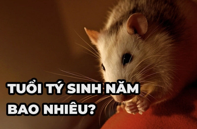 Công Ty Nệm chuyên cung cấp Nệm, Đệm. Drap Gối trên toàn quốc.
