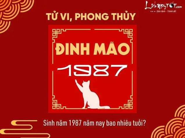 Đinh Mão sinh năm bao nhiêu và những thông tin cần biết