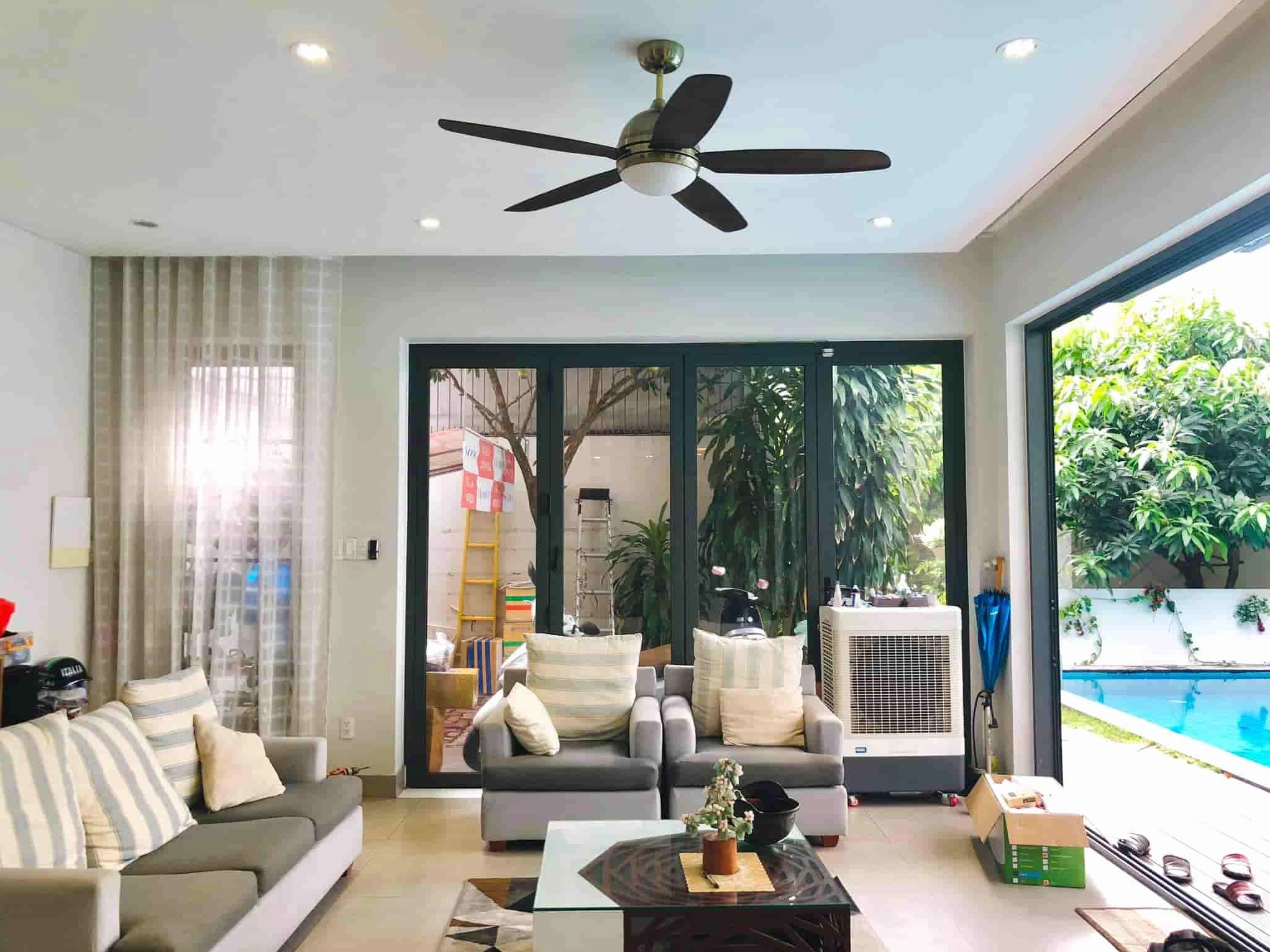 Dự án tương lai của My Trần