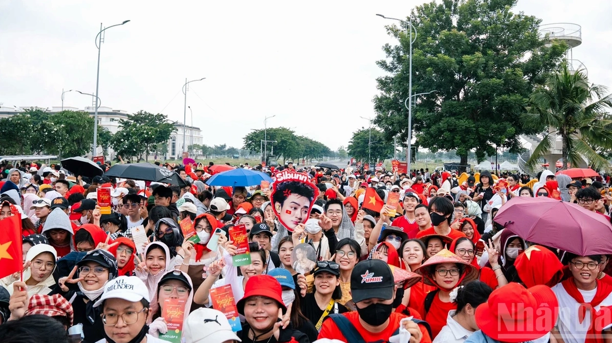 Hình ảnh cá voi trong đại dương
