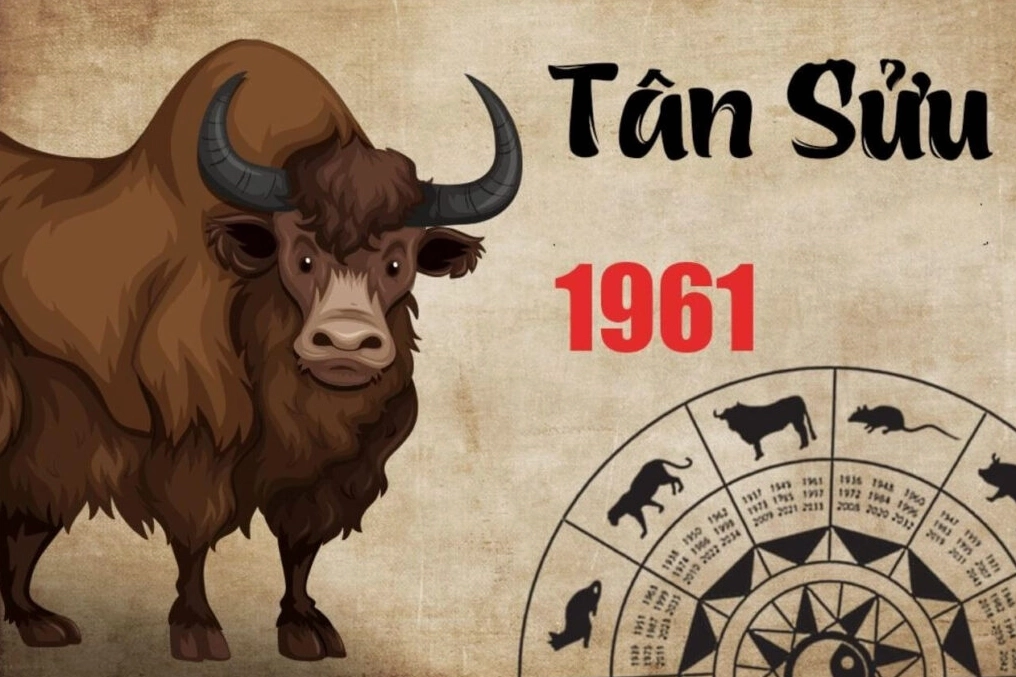 Hình ảnh con trâu trong cảnh đồng quê