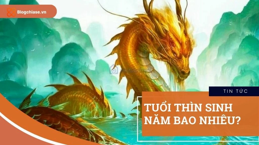 Hình ảnh liên quan đến tuổi Thìn
