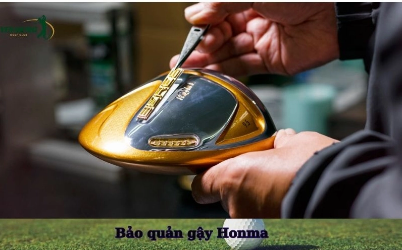 Hình ảnh minh họa không liên quan đến Hoàng Cửu Bảo