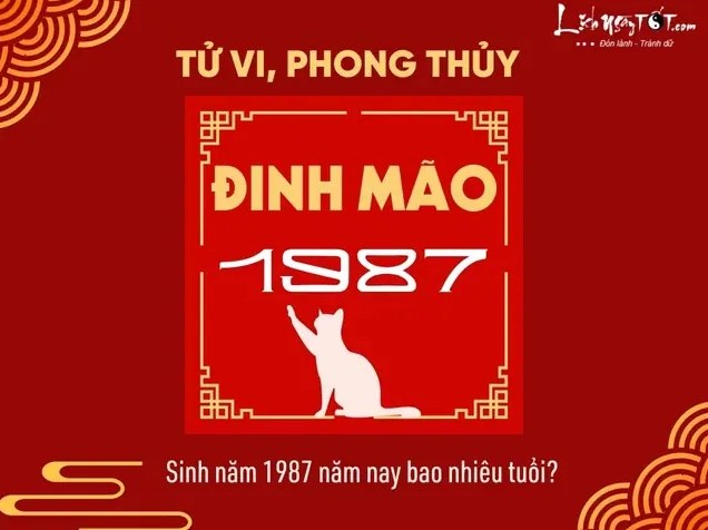 Hình ảnh minh họa về tuổi Đinh Mão
