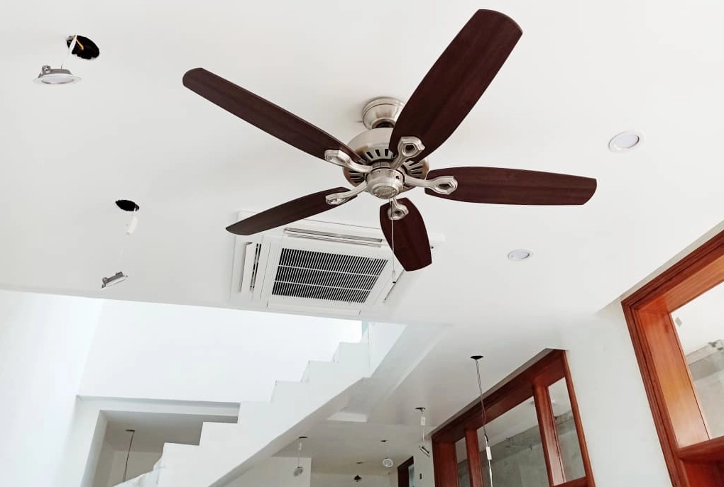Hình ảnh My Trần trong các hoạt động cộng đồng