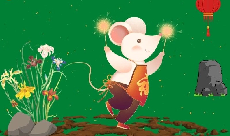 Hình ảnh tuổi chuột