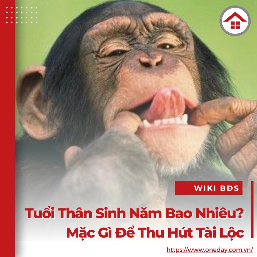 Khám phá tuổi và cung hoàng đạo của người sinh năm Thân