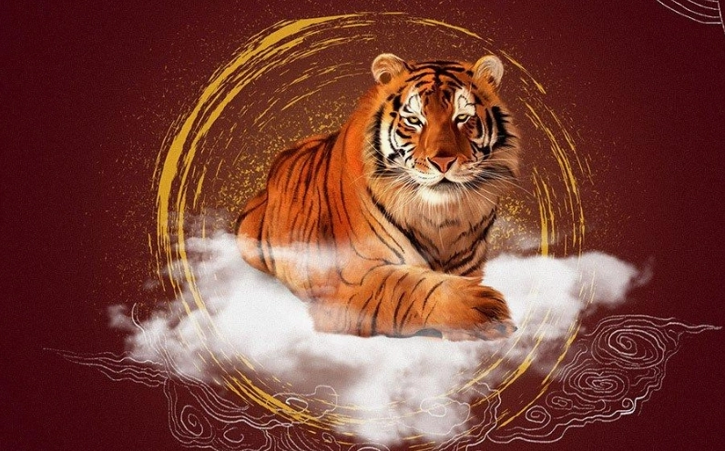Màu sắc hợp với người tuổi Dần