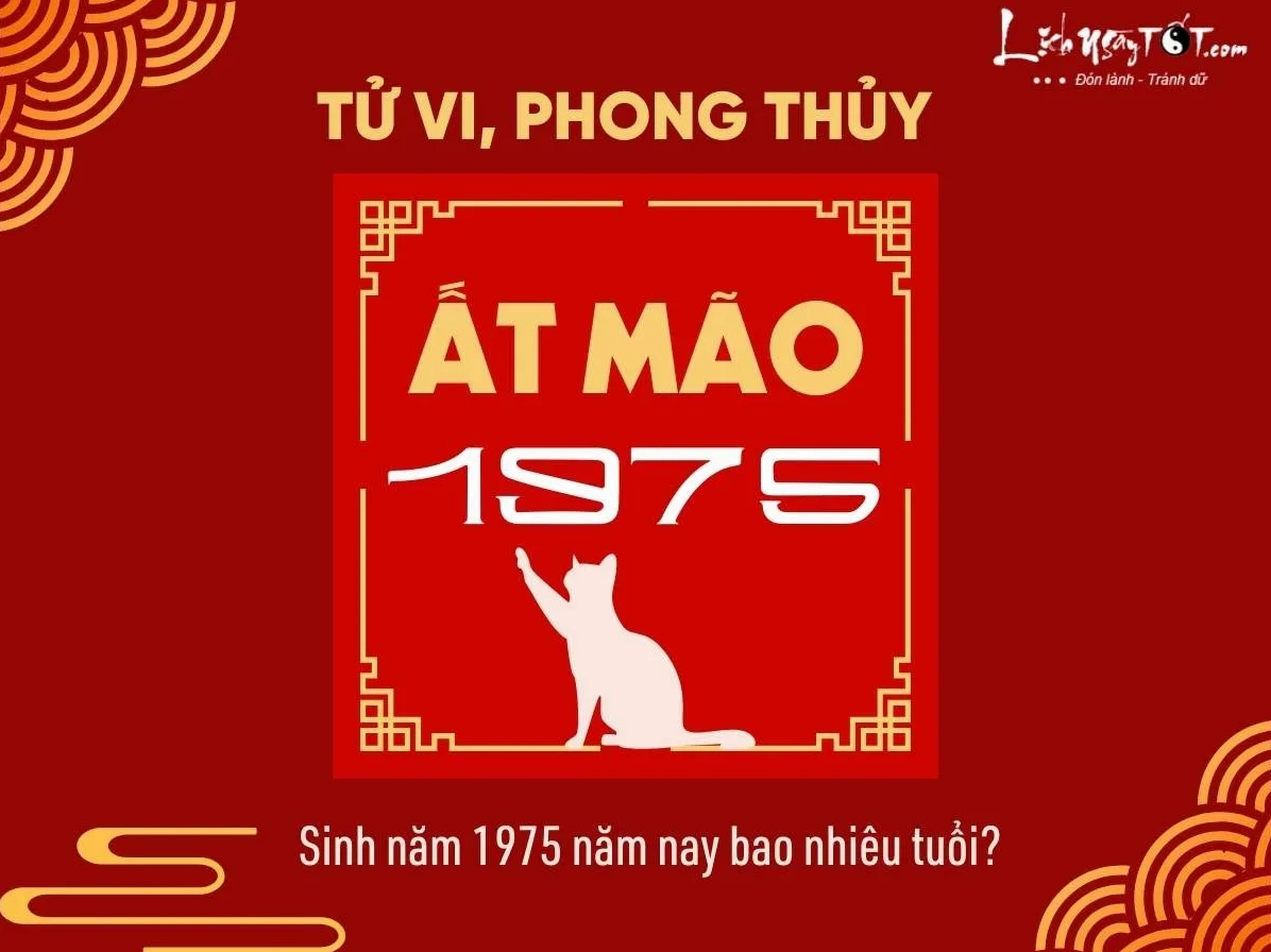Minh họa năm sinh và tuổi của các nghệ sĩ