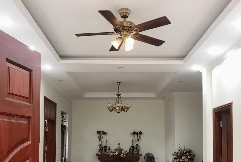 My Trần với các dự án cá nhân