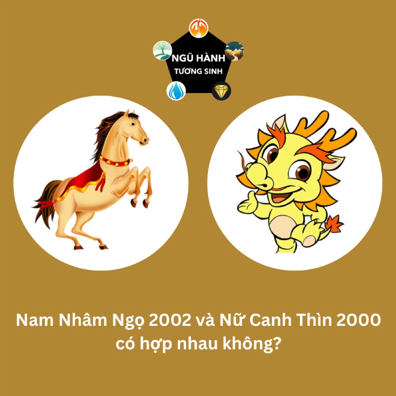 Nam Nhâm Ngọ 2002 và Nữ Canh Thìn 2000 hợp nhau không? Cưới năm nào?