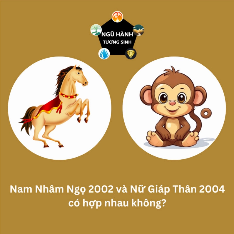Nam Nhâm Ngọ 2002 và Nữ Giáp Thân 2004 hợp nhau không? - Đề cập đến năm sinh 2002, 2004