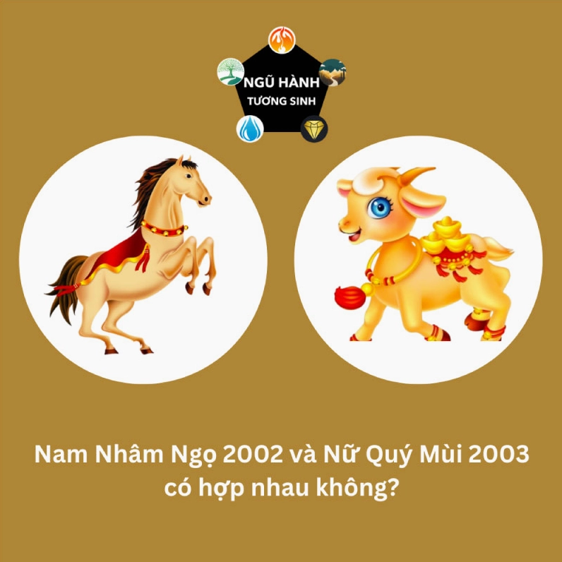 Nam Nhâm Ngọ 2002 và Nữ Quý Mùi 2003 hợp nhau không? - Cho thấy thông tin về năm sinh cụ thể của các năm 2002, 2003