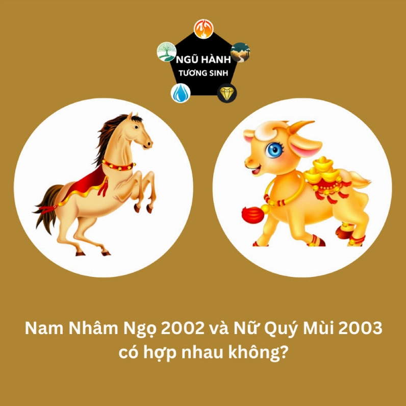 Nam Nhâm Ngọ 2002 và Nữ Quý Mùi 2003 hợp nhau không? Cưới năm nào?