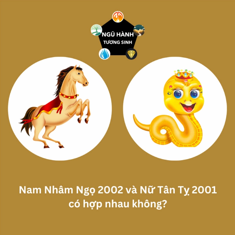 Nam Nhâm Ngọ 2002 và Nữ Tân Tỵ 2001 hợp nhau không? Cưới năm nào?