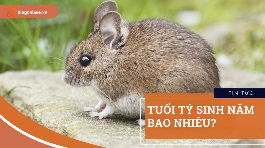 Người tuổi Nhâm Thìn có tính cách điềm đạm và ý chí kiên cường.