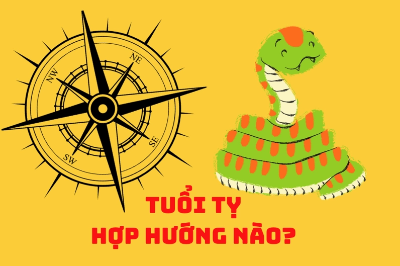 Người tuổi Tỵ hợp và kỵ hướng nào