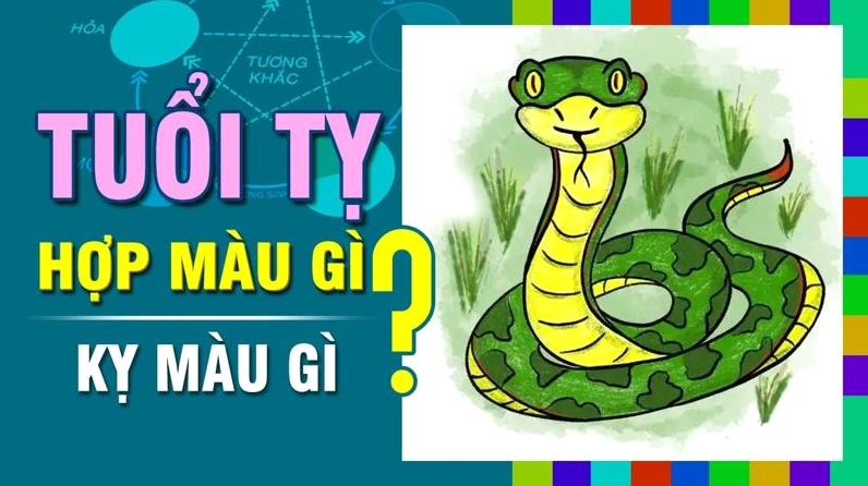 Người tuổi Tỵ mệnh Thuỷ