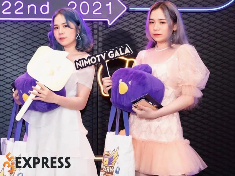 Những điều thú vị về streamer Mèo Simmy