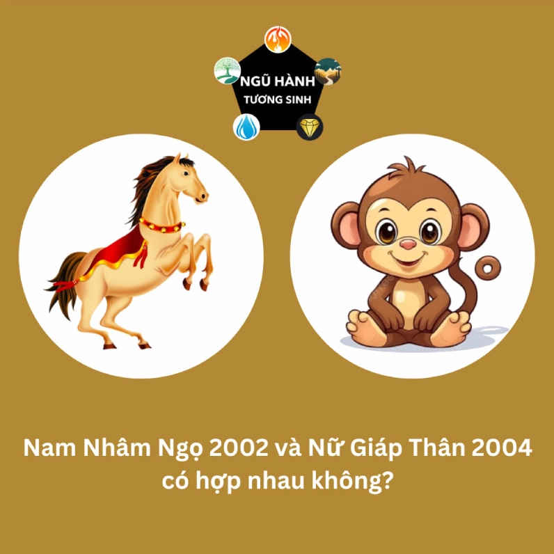 Phân tích sự hợp nhau giữa các cặp tuổi, có thể áp dụng cho tuổi Thìn.