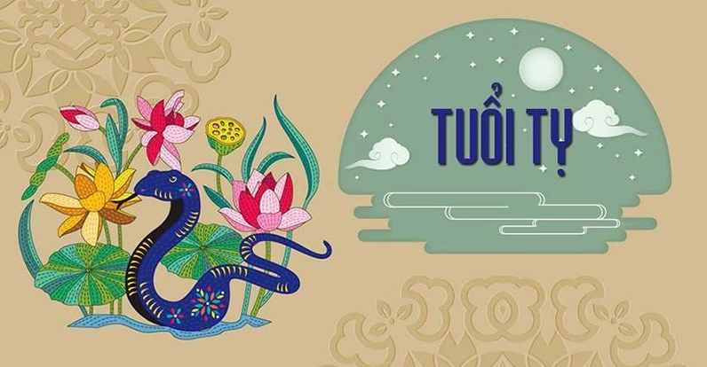 Sự nghiệp và hoạt động của Trang Pháp