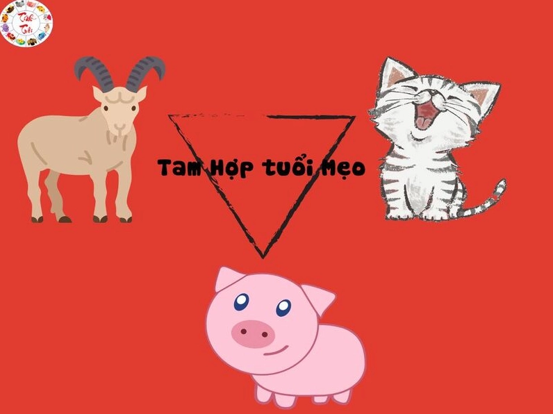 Tam hợp tuổi Mẹo