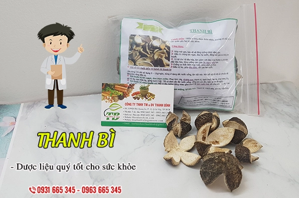 Thanh Bi - dược liệu tốt cho sức khỏe gan và tiêu hóa