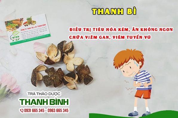 Thanh Bi - dược liệu tốt cho sức khỏe hô hấp