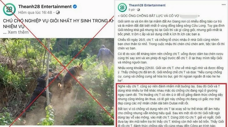 Theanh28 liên tục đăng tải những thông tin bịa đặt, sai sự thật, chế diễu nạn nhân vụ án hiếp dâm khiến cộng đồng mạng phẫn nộ.