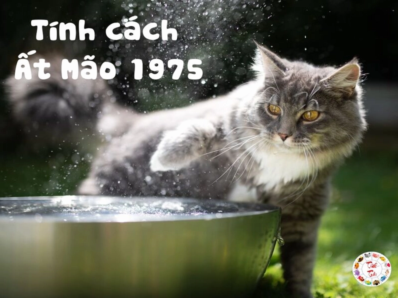 Tuổi Ất Mão 1975