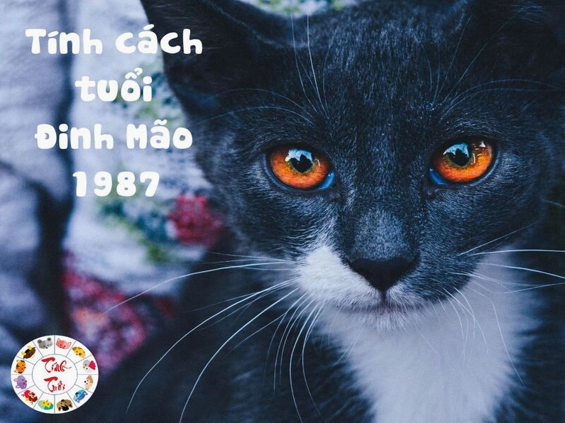 Tuổi Đinh Mão 1987