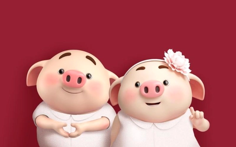 Tuổi Hợi làm ăn chung với tuổi nào thì hợp?