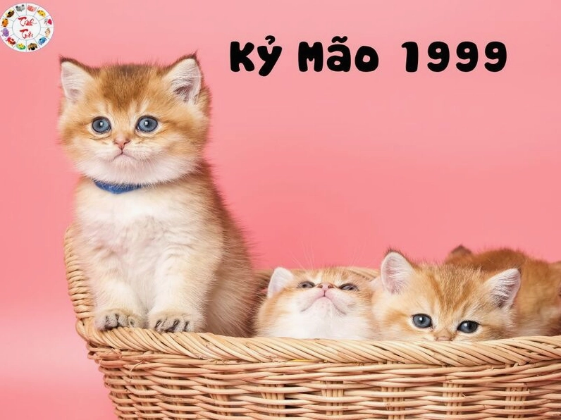 Tuổi Kỷ Mão 1999