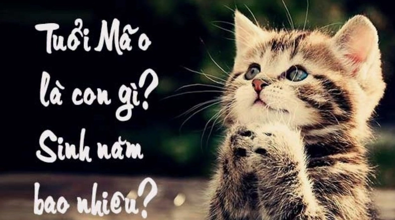 Tuổi Mão sinh năm bao nhiêu và những đặc điểm