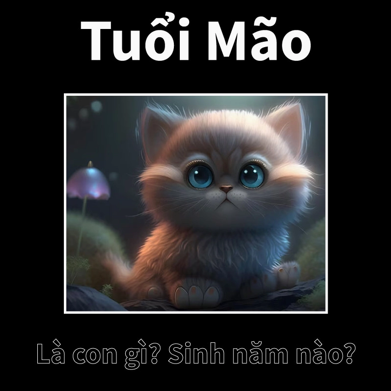 Tuổi Mẹo là tuổi con gì?