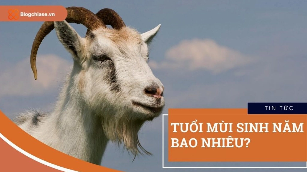 Tuổi Mùi hợp và kỵ màu sắc nào