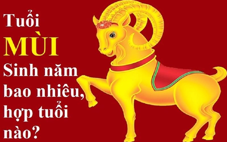 Tuổi Mùi sinh năm bao nhiêu - Minh họa về các năm sinh
