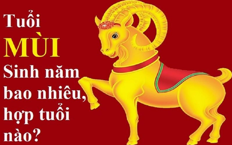 Tuổi Mùi sinh năm bao nhiêu