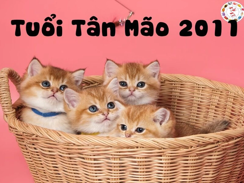 Tuổi Tân Mão 2011