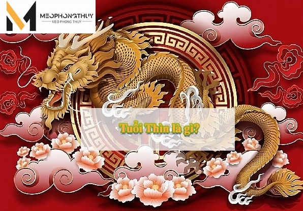 Tuổi Thìn là con gì?