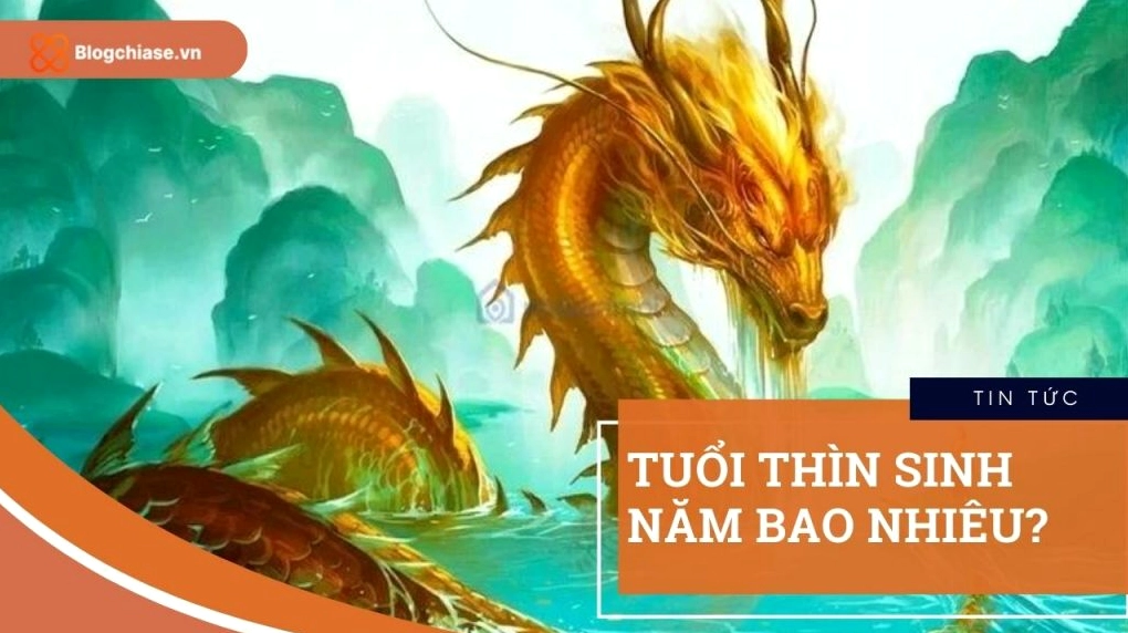 Tuổi Thìn Sinh Năm Bao Nhiêu? Tử Vi Trọn Đời Tuổi Thìn