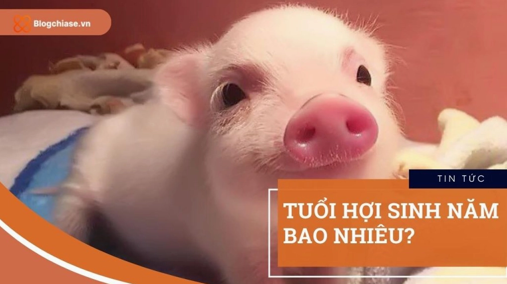Tuổi Thìn sinh năm bao nhiêu và những thông tin cần biết