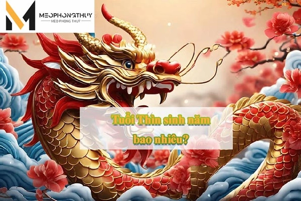 Tuổi Thìn sinh năm bao nhiêu?